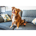 Dirty Dawg – Hondenshampoo zonder uitspoelen – Snelle reiniging & verzorging – 250 ml