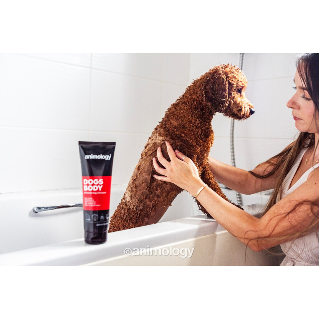 Dogs Body – Dog Shampoo with Conditioner & Pro-Vitamin B5 – Deep Cleansing – 250 ml