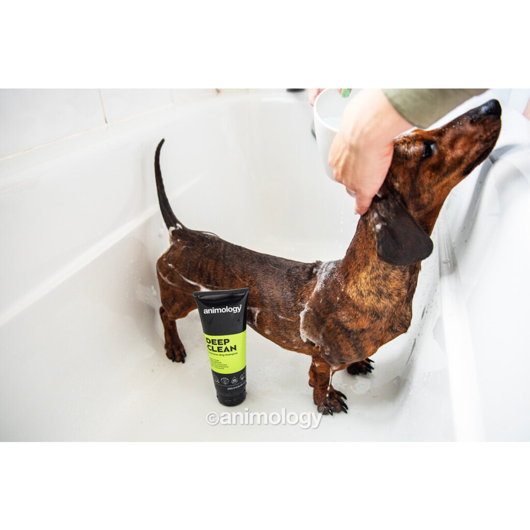 Deep Clean Intensive – Deep-Cleansing Dog Shampoo with Conditioner & Pro-Vitamin B5 – 250 ml