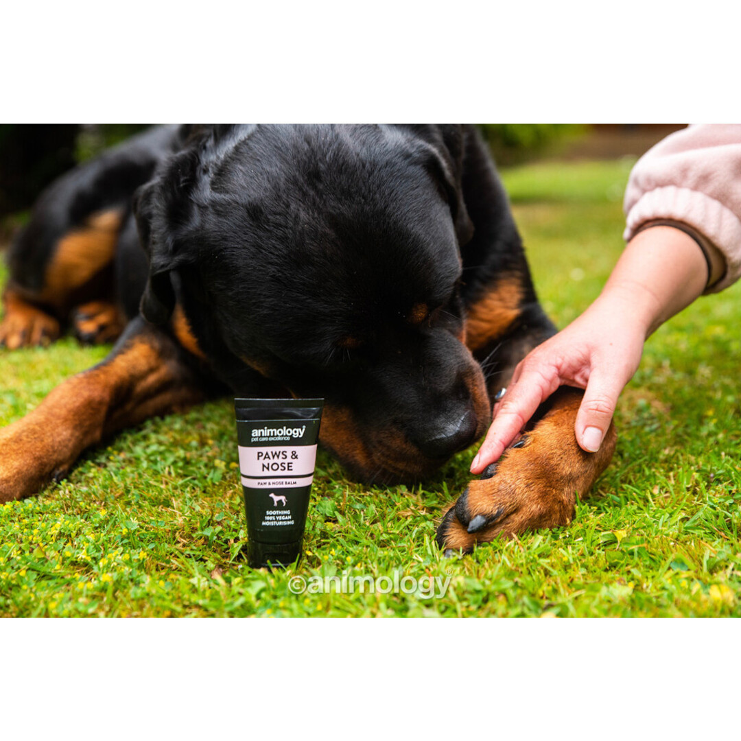Paws & Nose Balm – Moisturising Balm with Shea Butter, Oils & Vitamin E – 50 ml