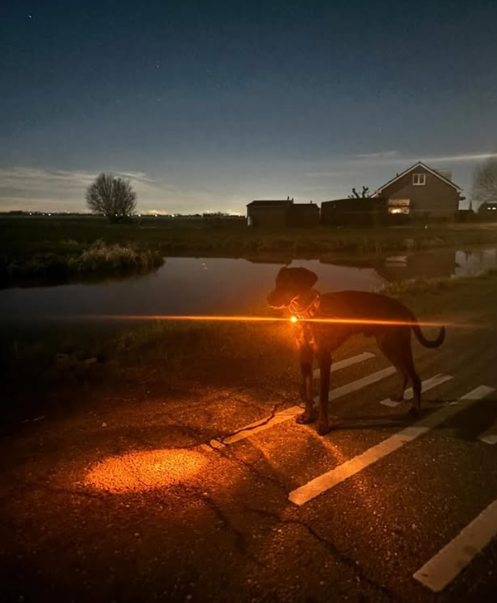 Waarom verlichting in het donker niet alleen voor zichtbaarheid is, maar ook voor veiligheid