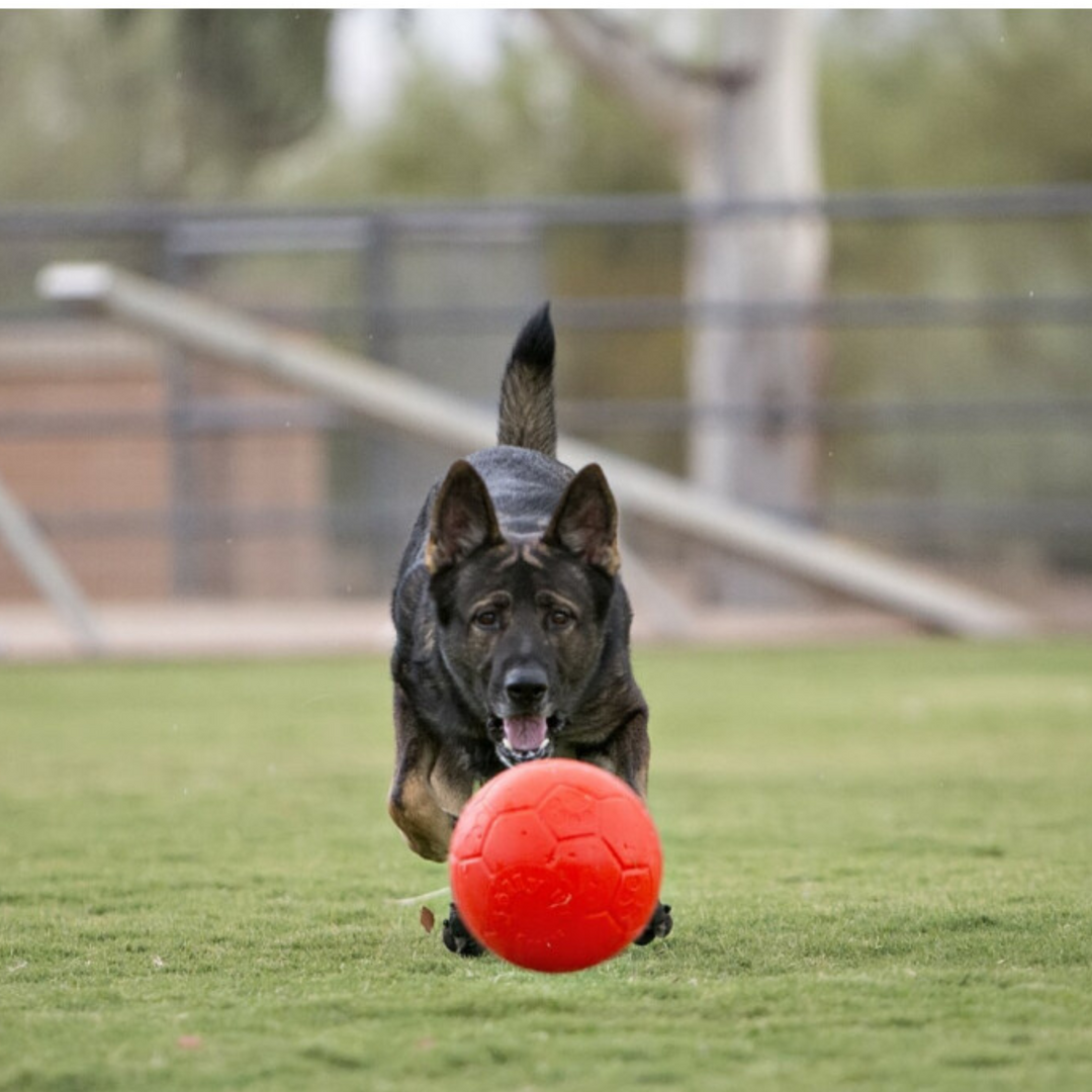 Jolly Soccer Ball Oranje