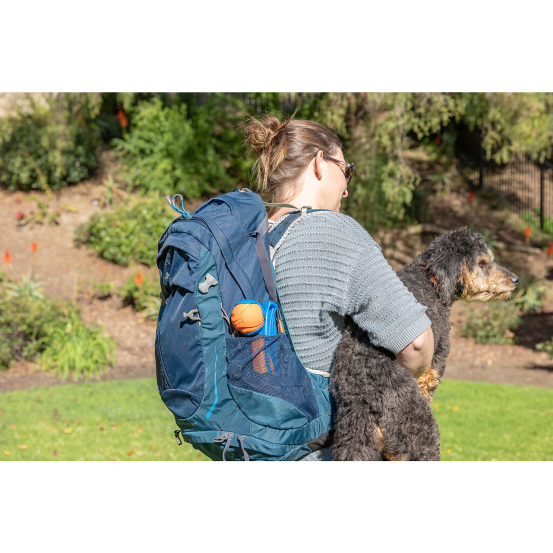 Chuckit! Fetch & Fold Launcher