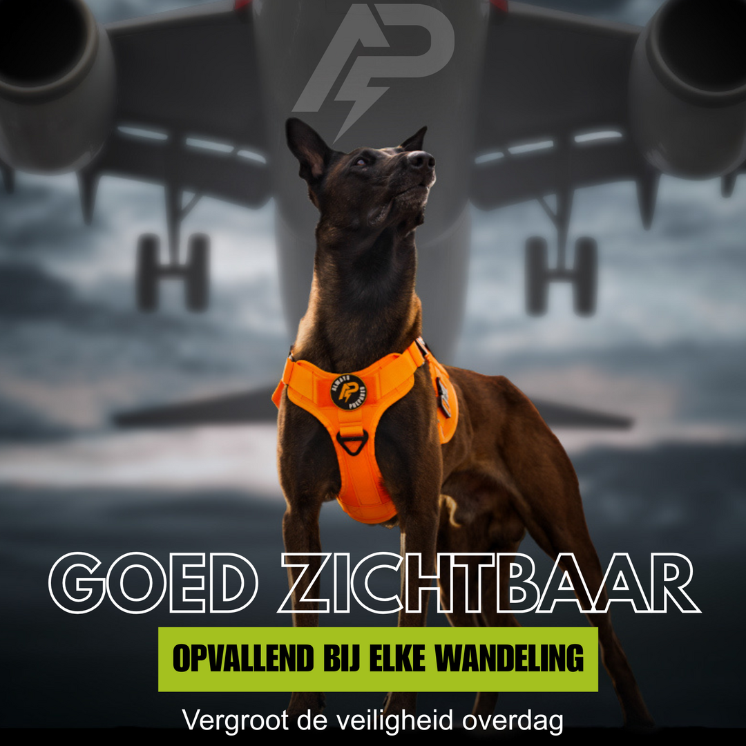 Pro Hondentuig Oranje