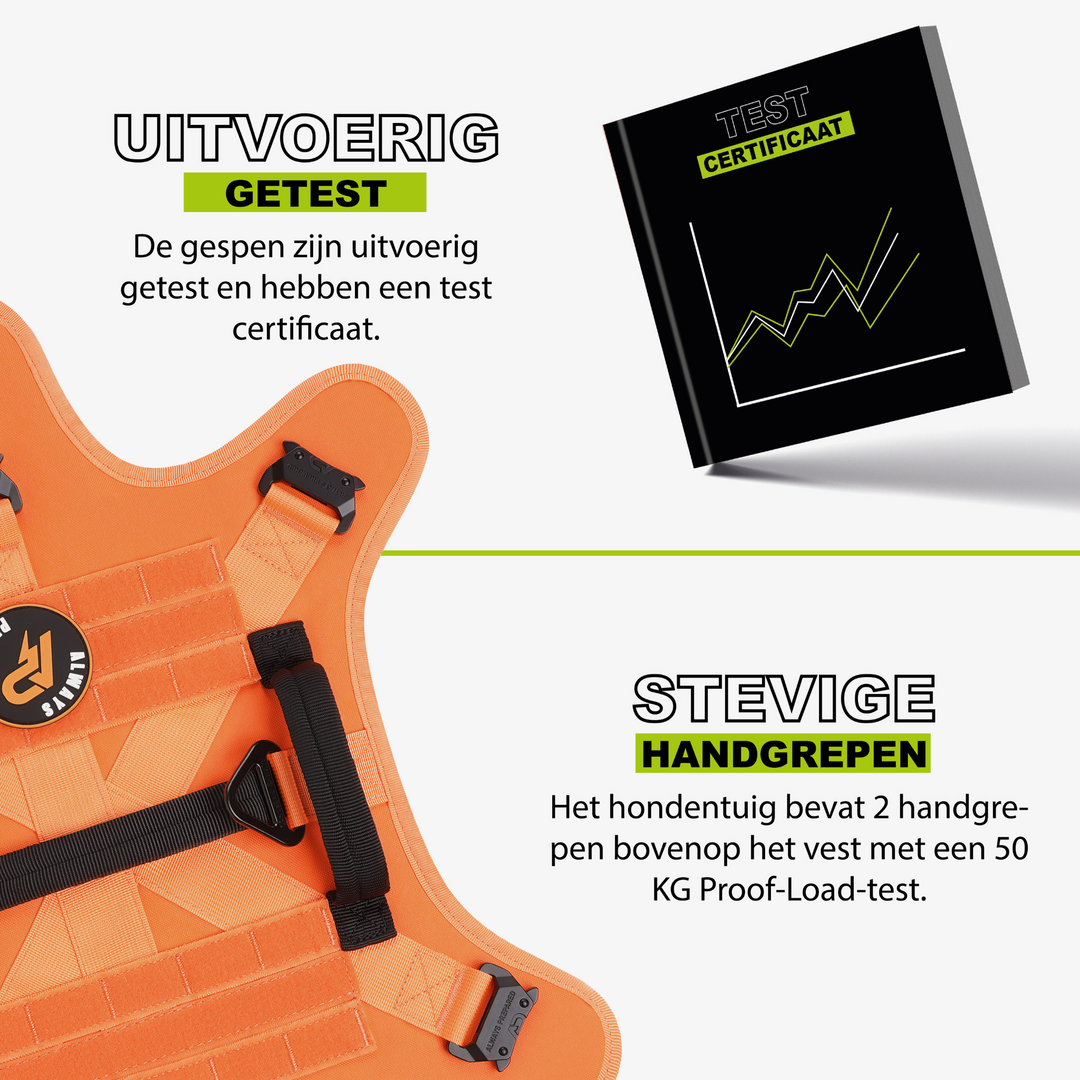 Pro Hondentuig Oranje