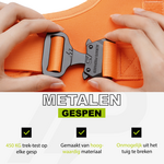 Pro Dog Harness Orange