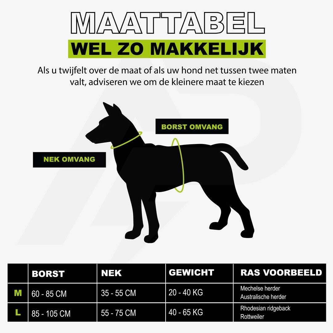 Combi-Deal Pro Harness + Leash Orange