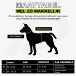 Combi-Deal Pro Harness + Leash Orange