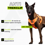 Combi-Deal Pro Tuig + Riem Oranje