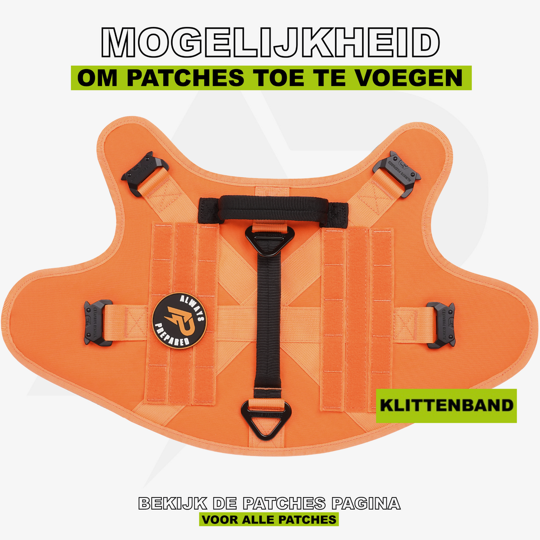 Combi-Deal Pro Harness + Collar Orange