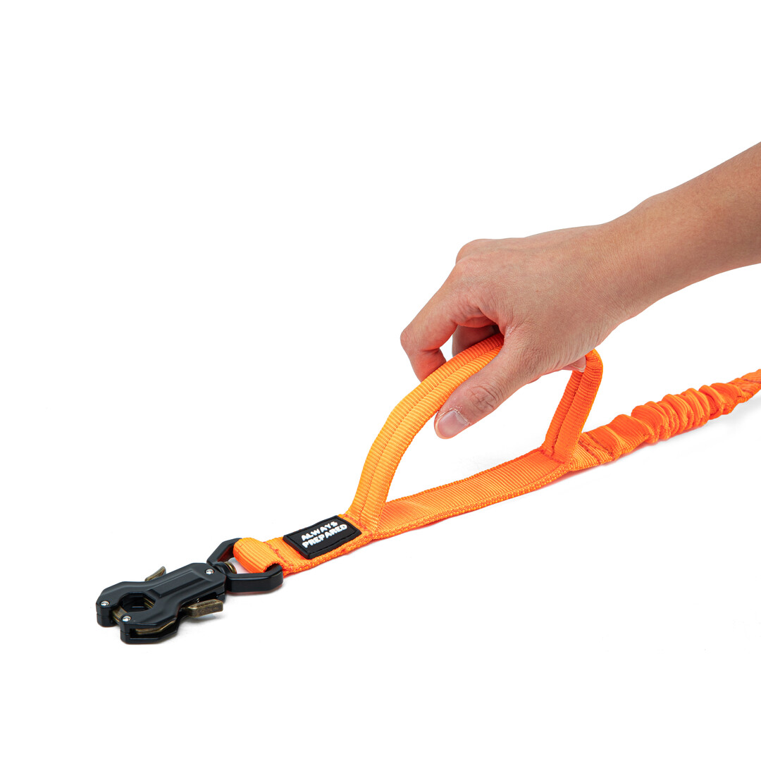 Combi-Deal Pro Halsband + Riem Orange