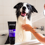 True Colours HondenShampoo