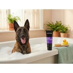 True Colours HondenShampoo