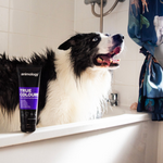 True Colours HondenShampoo