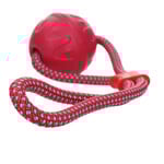 Foam rubber ball with rope