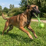 Schuimrubberbal met touw