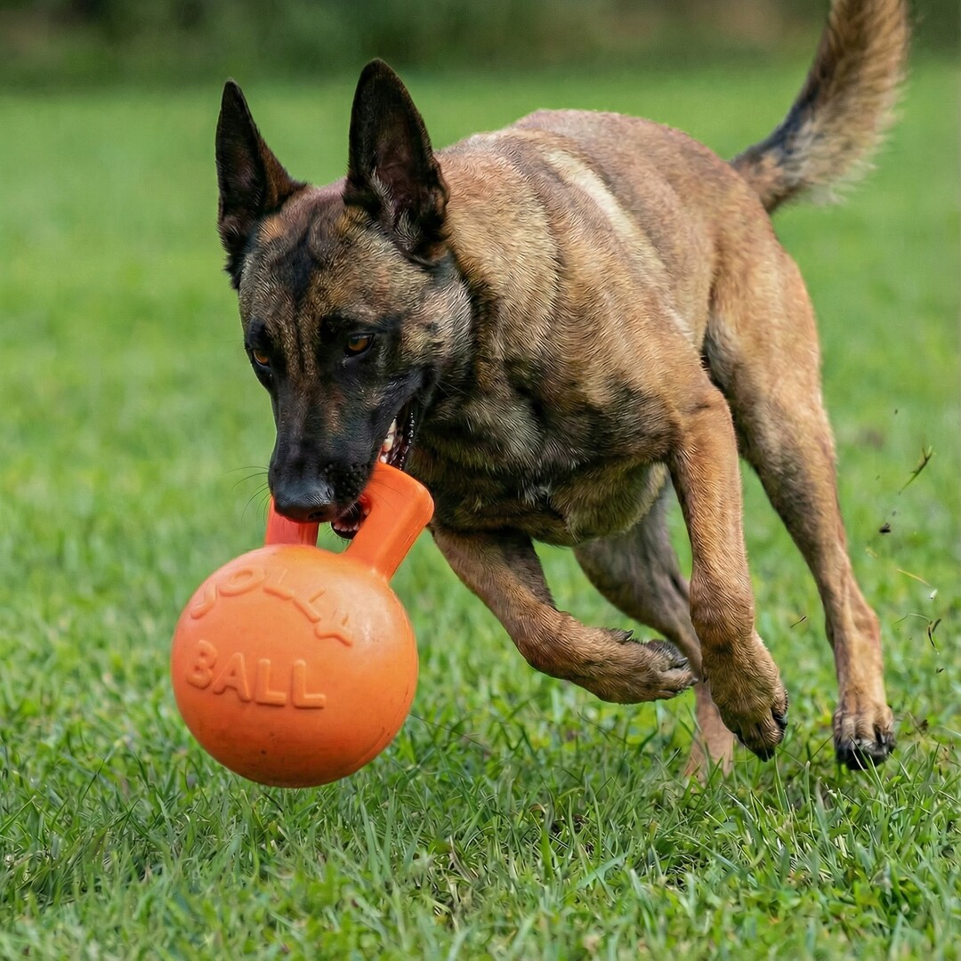Jolly Tug-n-Toss Oranje