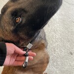 Stropkoord 6 mm met stop