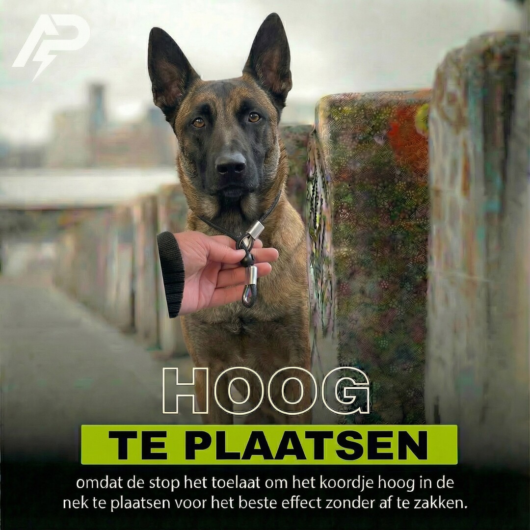 Stropkoord 6 mm met stop