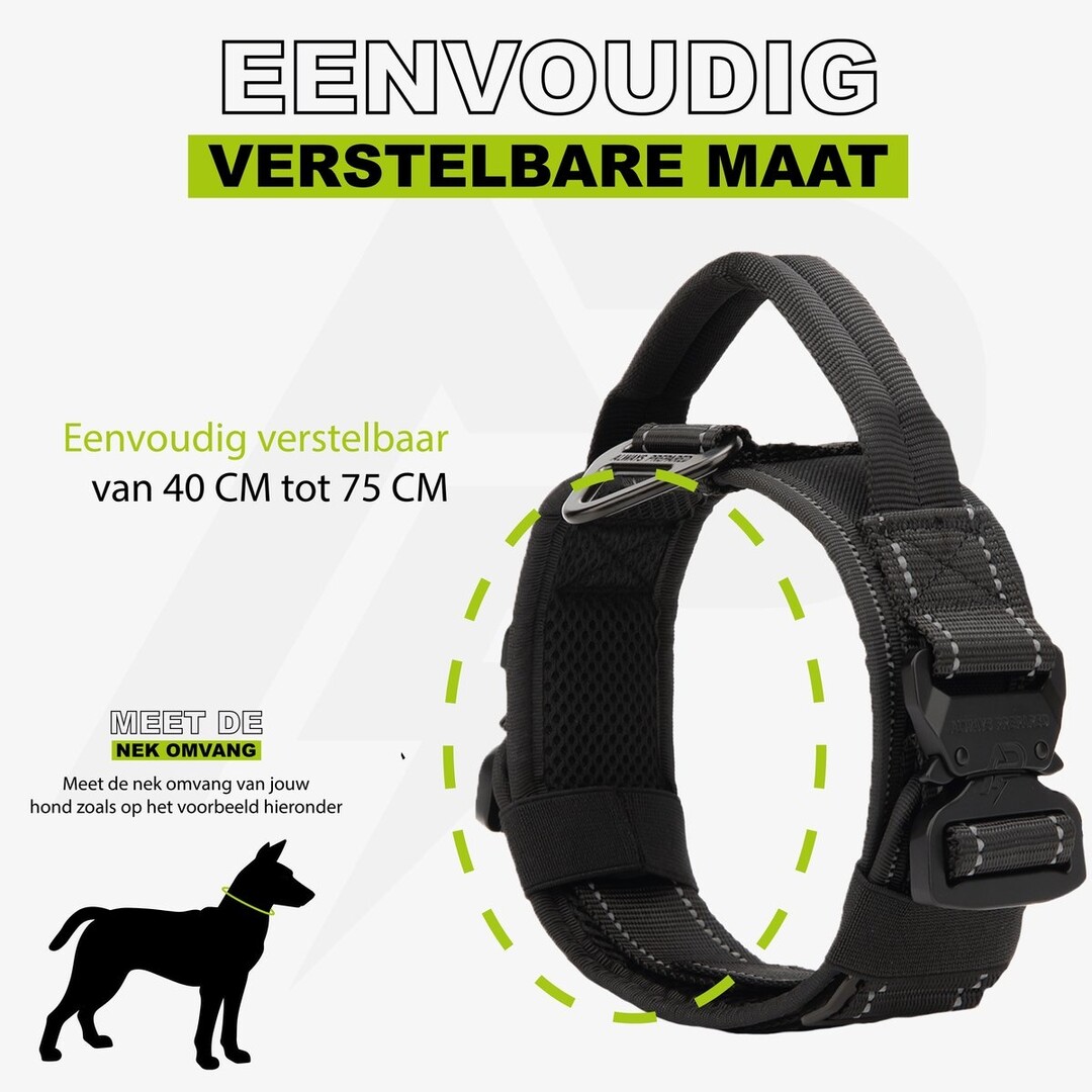 Pro Collar Reflective