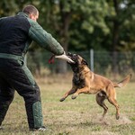 Bijtrol brandweerslang