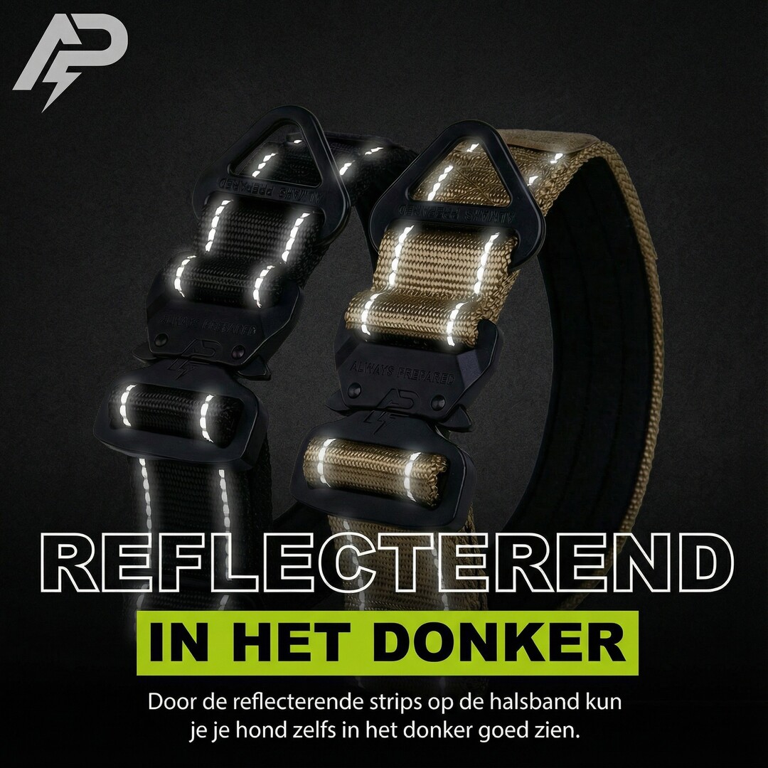 Compact Collar Black Reflection (PRE-ORDER)