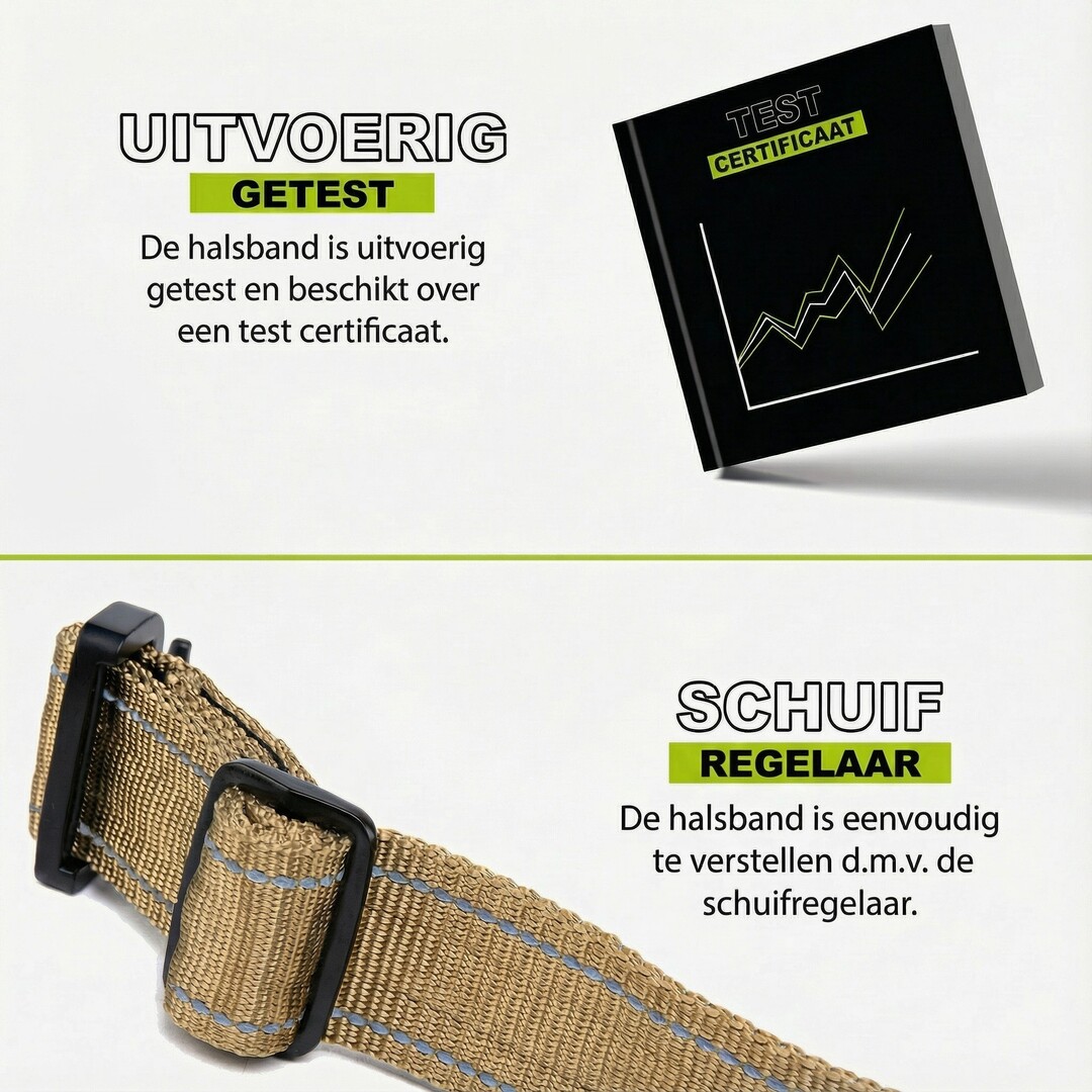 Compact Collar Khaki Reflection (PRE-ORDER)