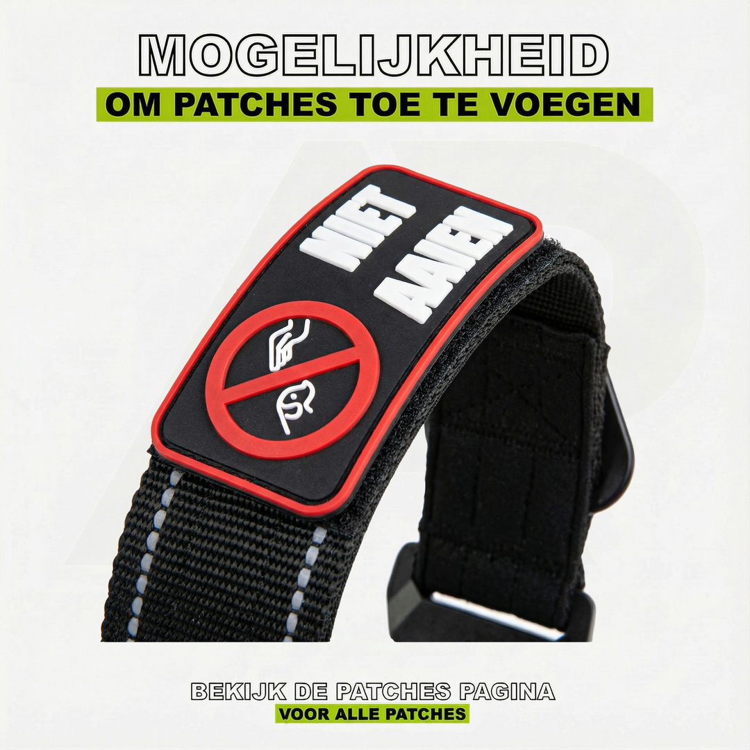 Compact Collar Khaki Reflection (PRE-ORDER)