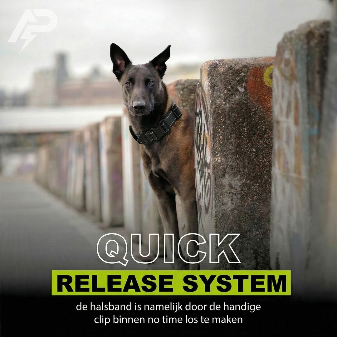 Combi-Deal Compact Collar + Leash Reflection Black (PRE-ORDER)