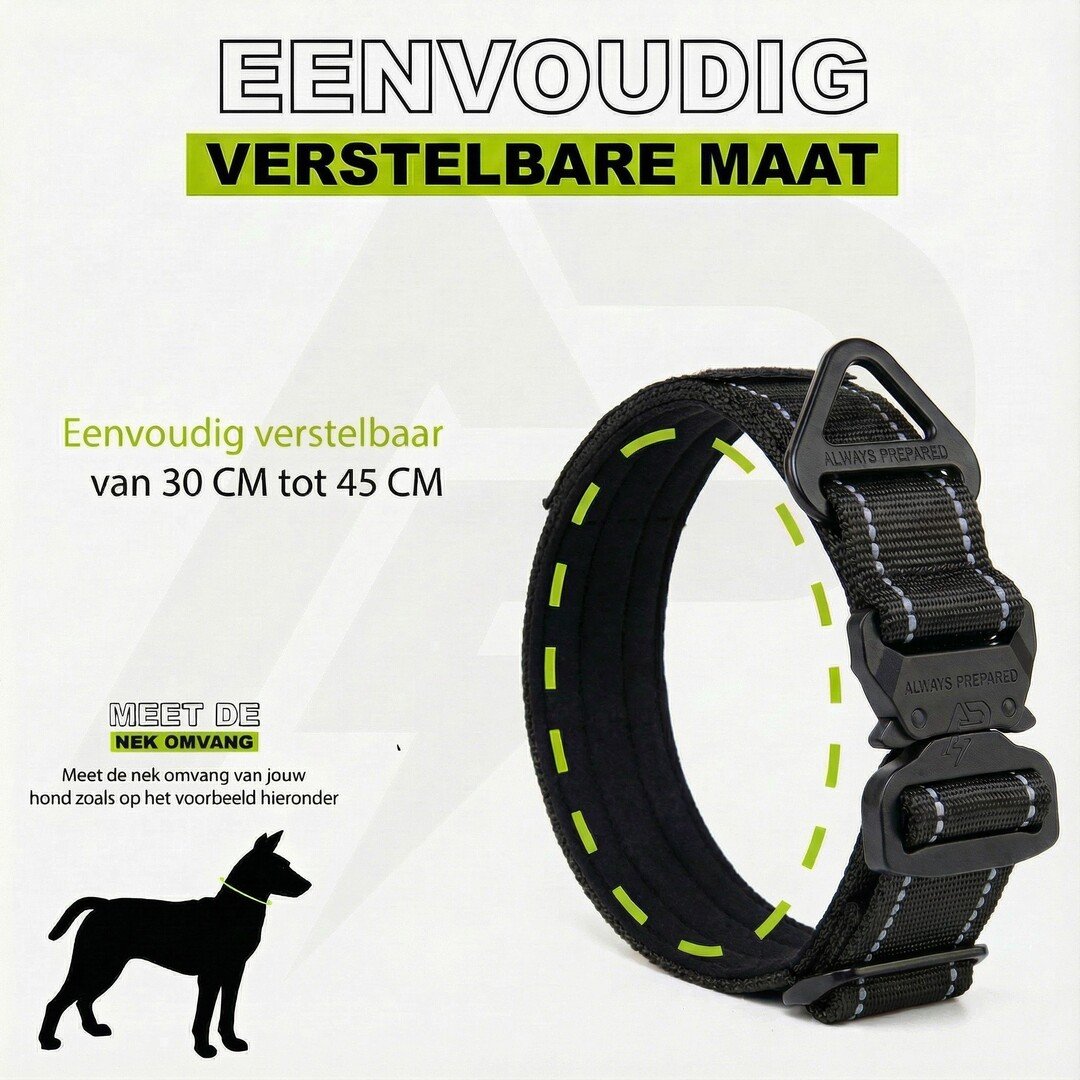 Combi-Deal Compact Collar + Leash Reflection Black (PRE-ORDER)