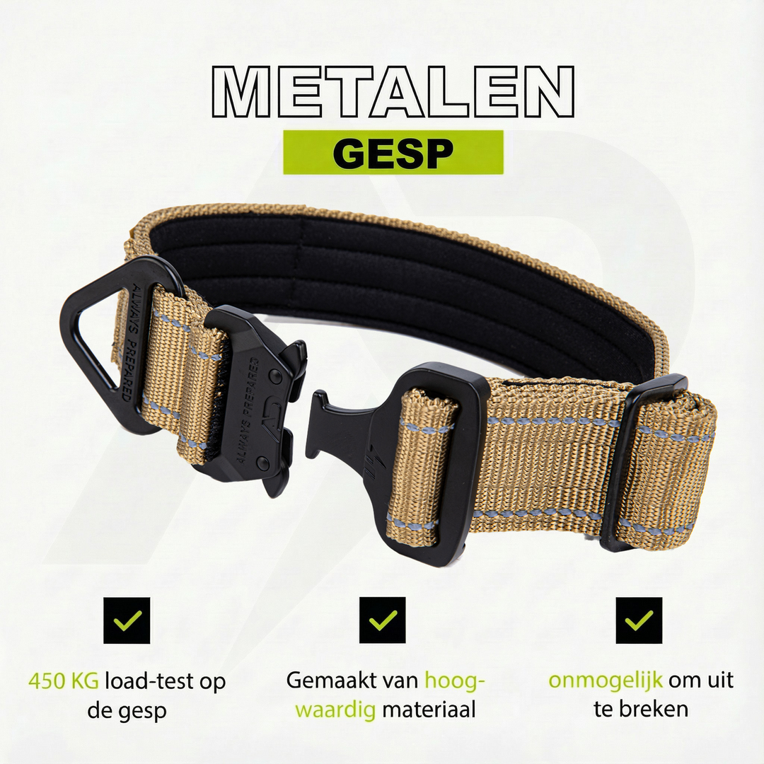 Combi-Deal Compact Collar + Leash Reflection Khaki (PRE-ORDER)