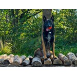 Meteor bal met touw 60mm