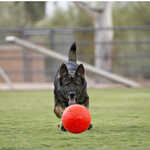 Jolly Soccer Ball Orange