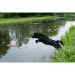 Orion Apporteer Dummy