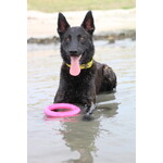 ProGrip Ring – Floating Fetch & Tug Toy Made of TPR Foam Rubber (Ø 19 cm)