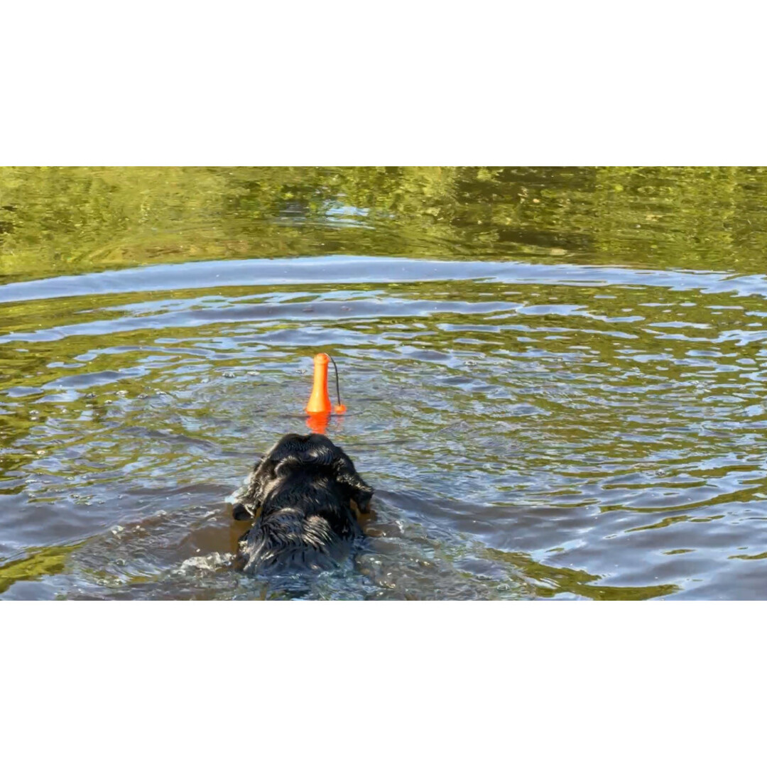 ProFloat – Drijvend Apporteerspeeltje met Koord (23 cm)