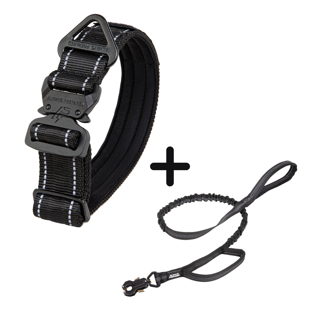 Combi-Deal Compact Collar + Leash Reflection Black