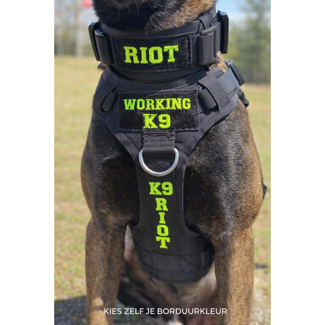 Pro Dog Harness IDENT – Professional dog harness with fixed embroidery