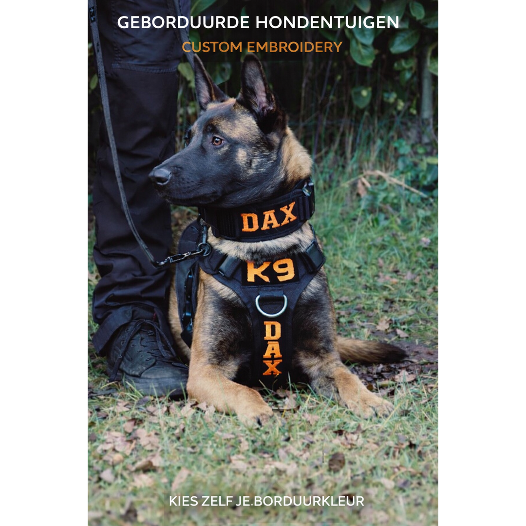 Pro Dog Harness IDENT – Professional dog harness with fixed embroidery