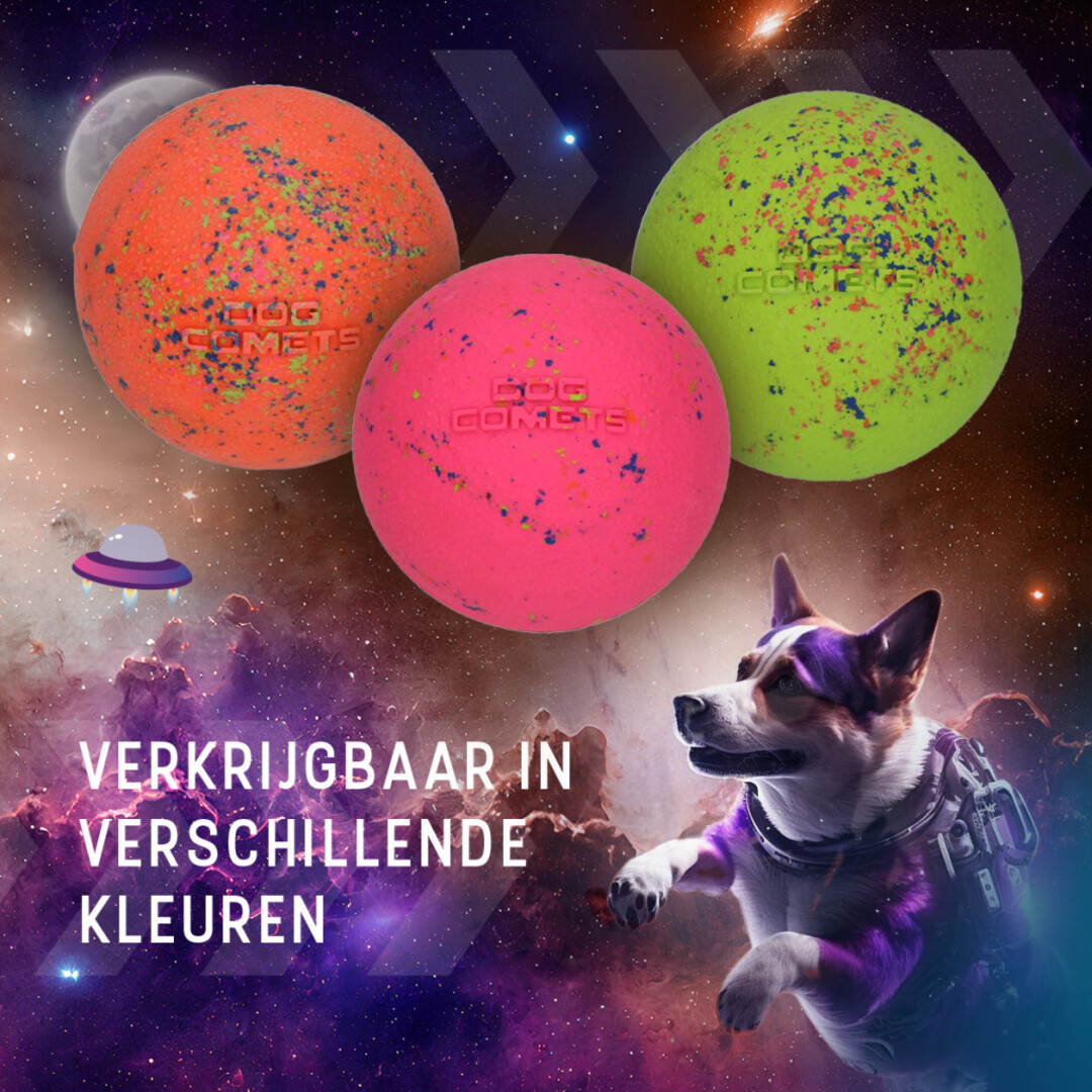 Dog Comets Stardust L