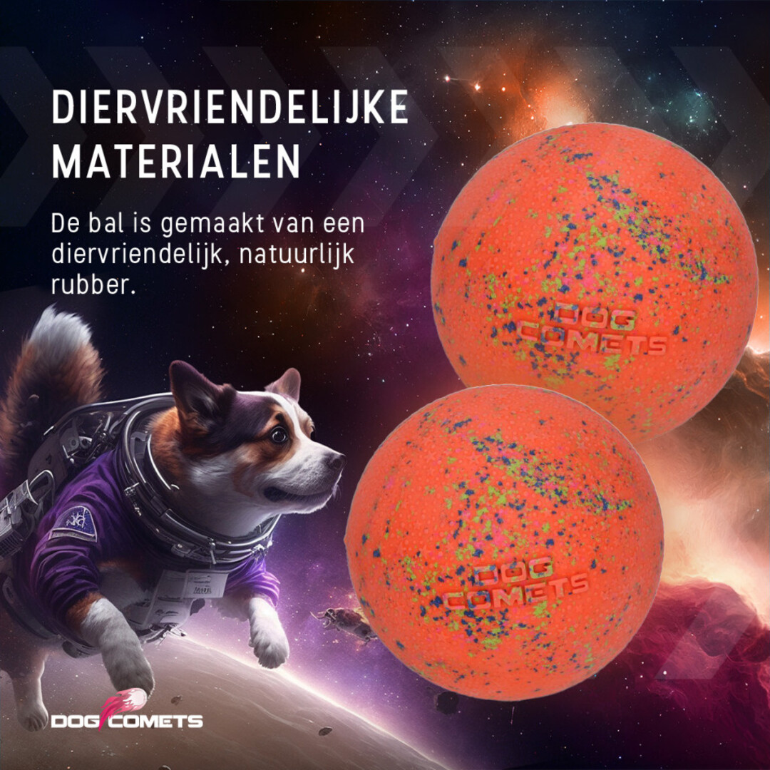 Dog Comets Stardust L