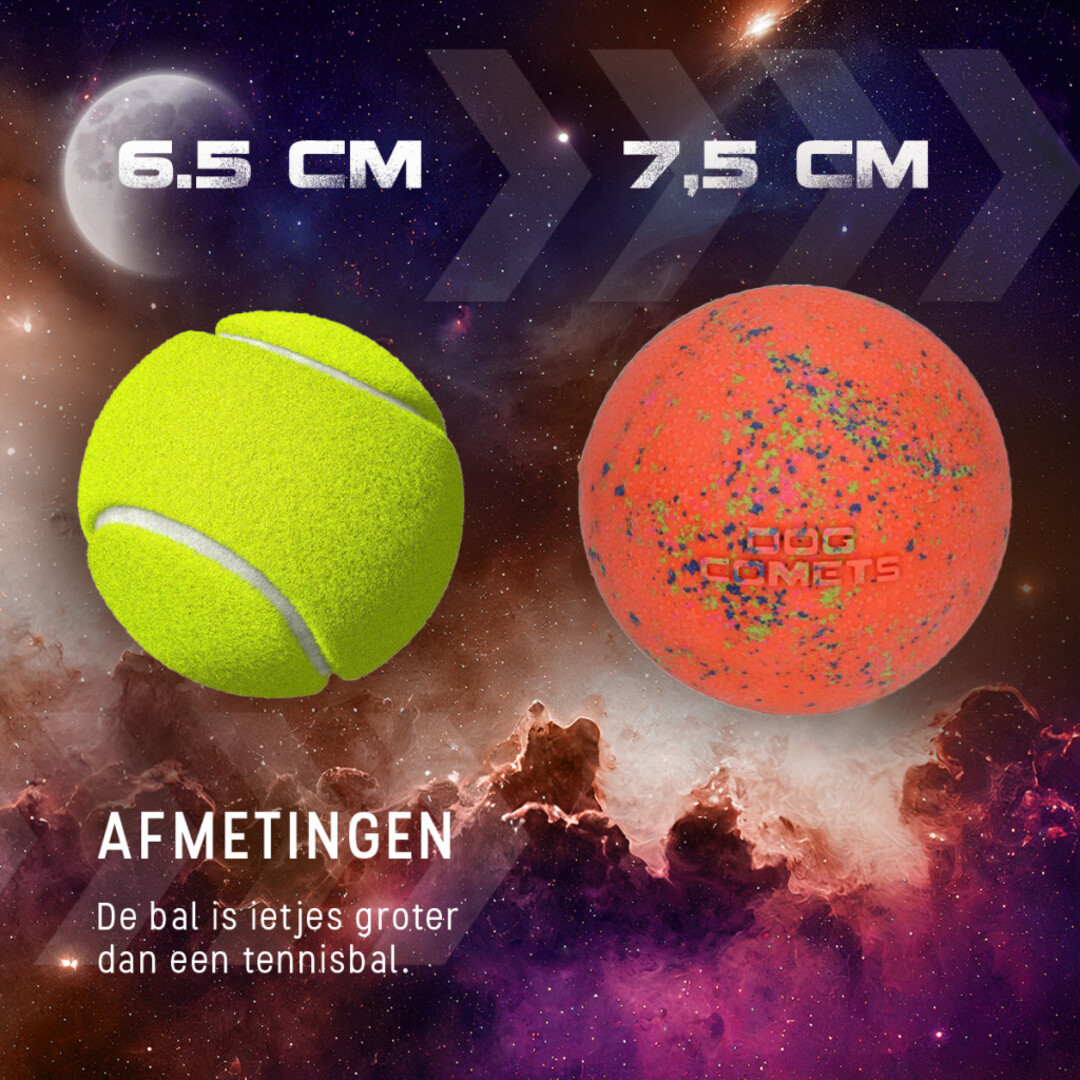 Dog Comets Stardust L