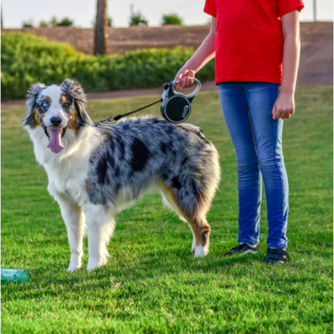 KONG Retractable Leash - Explore Grijs L - 7,5M