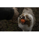 Meteor bal met touw green