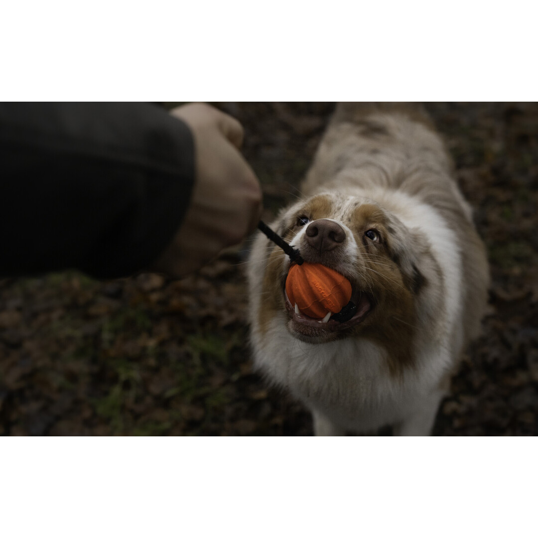 Meteor bal met touw oranje