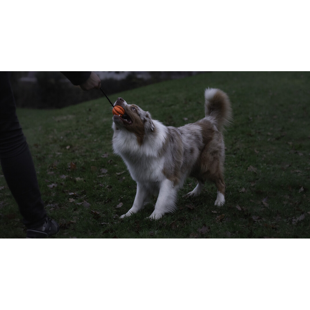 Meteor bal met touw oranje