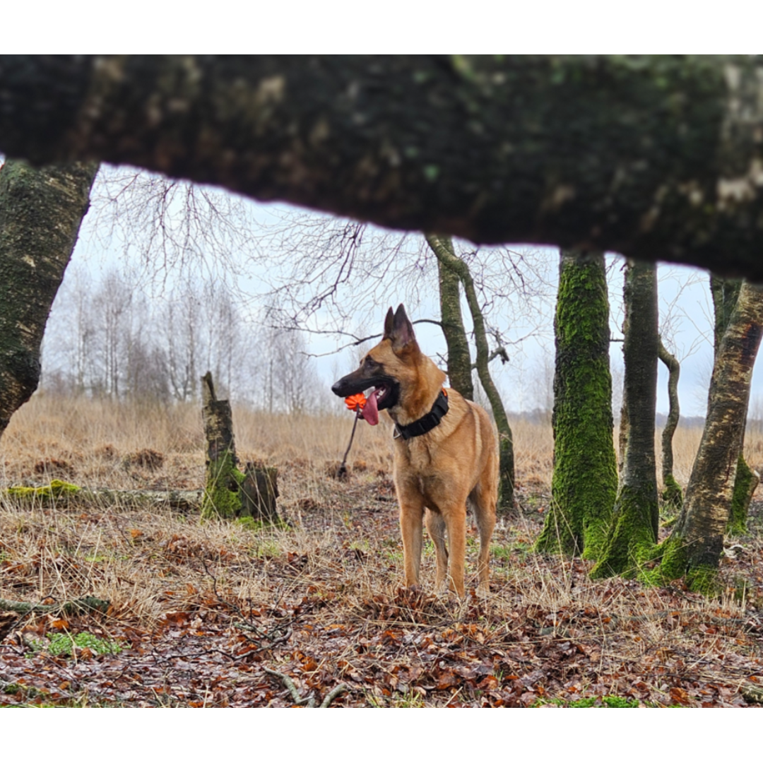 Meteor bal met touw 60mm