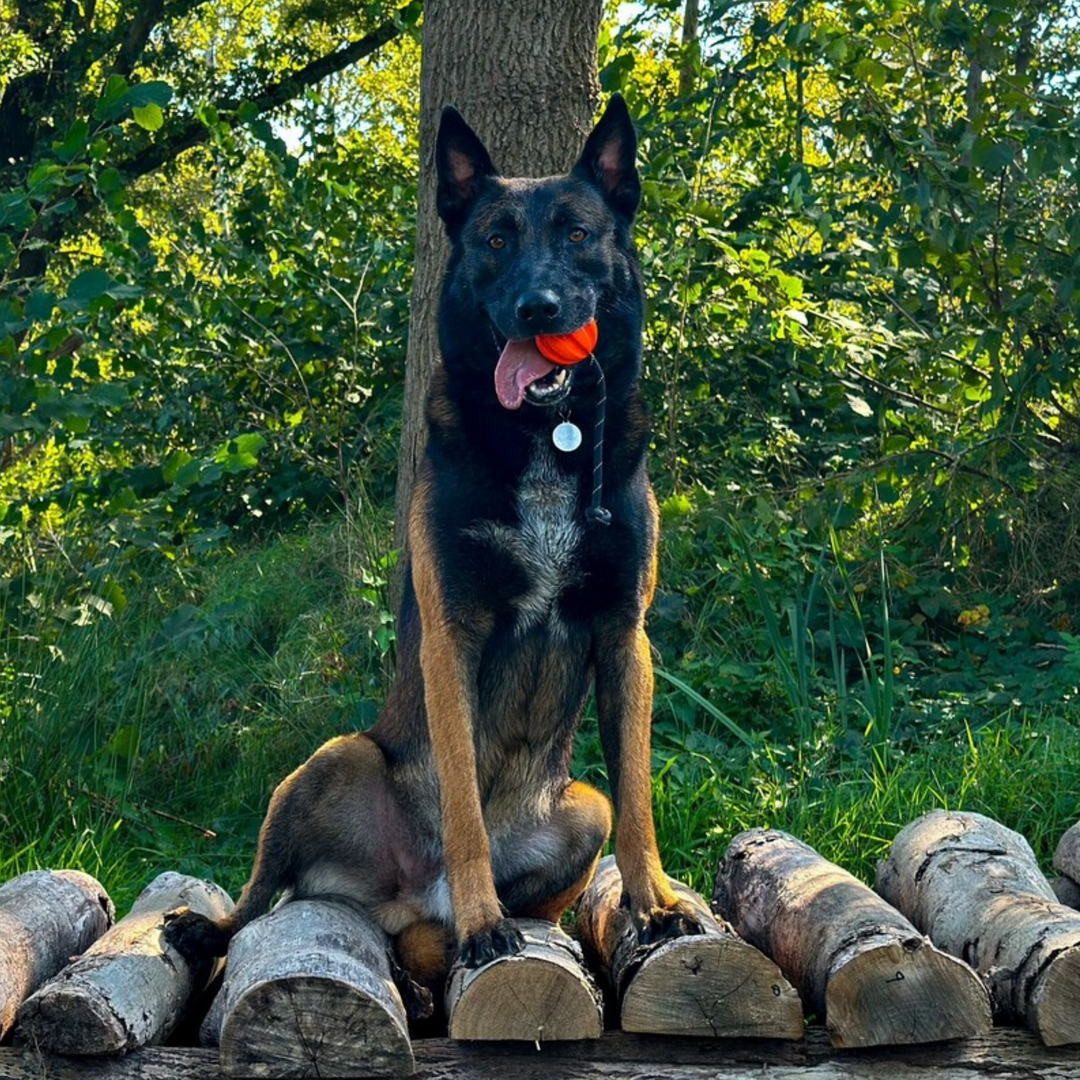 Meteor bal met touw 60mm