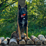 Meteor bal met touw 60mm