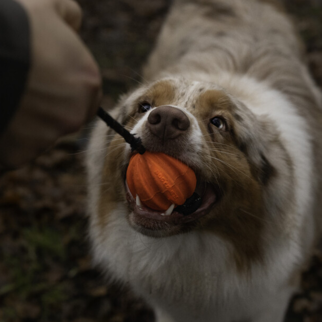 Meteor bal met touw 60mm